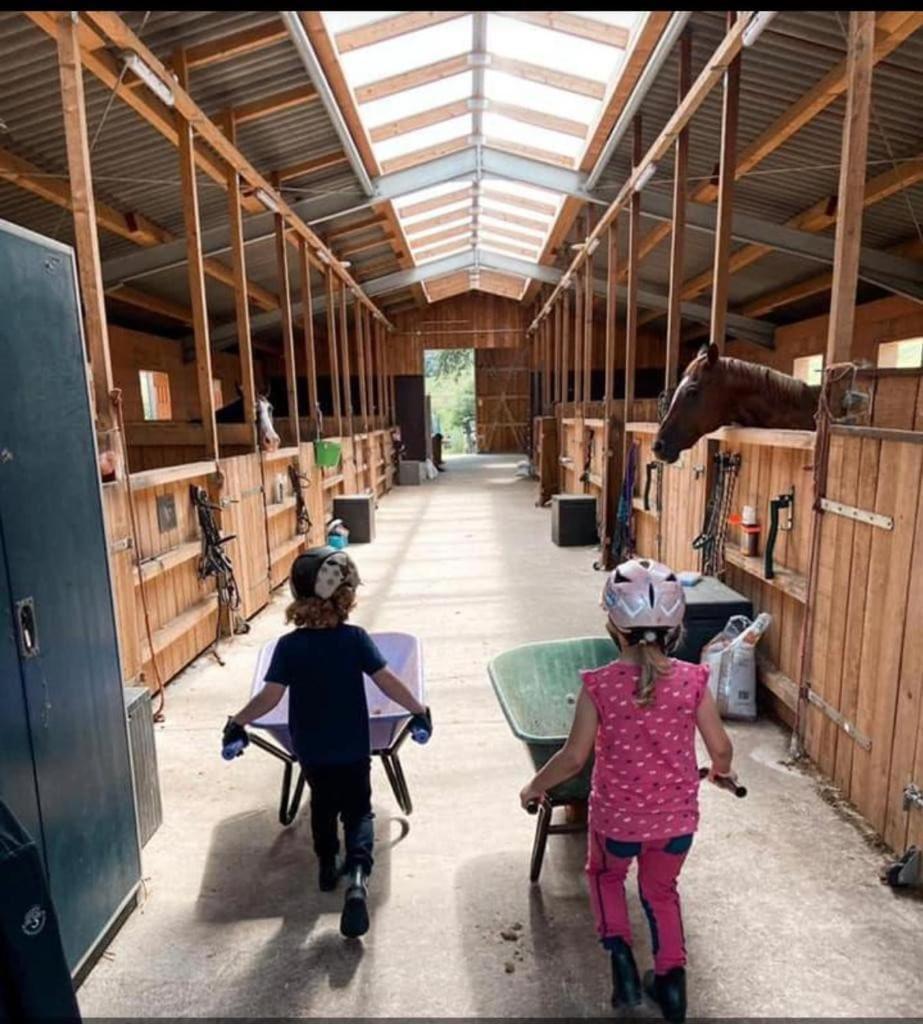 Ferienwohnung Beim Pferdehof Neuenstein  Dış mekan fotoğraf
