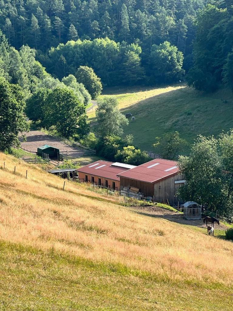 Ferienwohnung Beim Pferdehof Neuenstein  Dış mekan fotoğraf